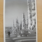 VANHA Postikortti Pallastunturi Lappi 1940-luku - pikkukuva 1