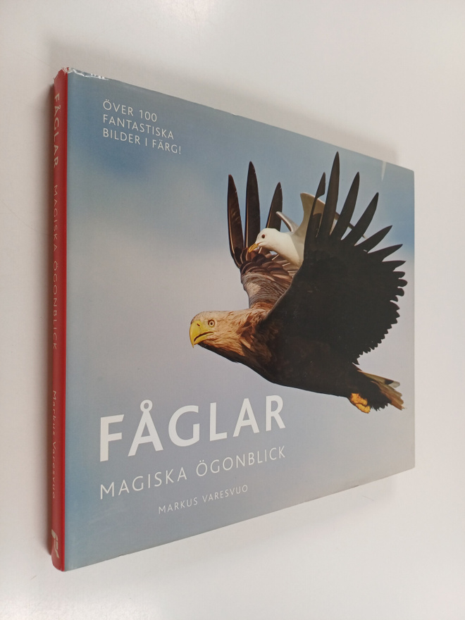 Markus Varesvuo : Fåglar magiska ögonblick