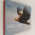 Markus Varesvuo : Fåglar magiska ögonblick - pikkukuva 1