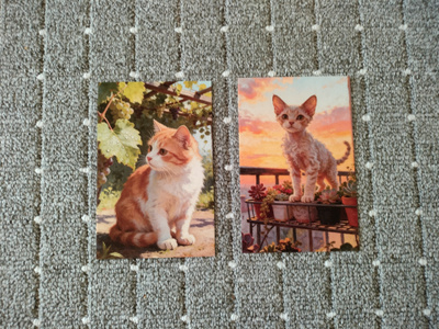 ~Kissa kortti~ 2kpl