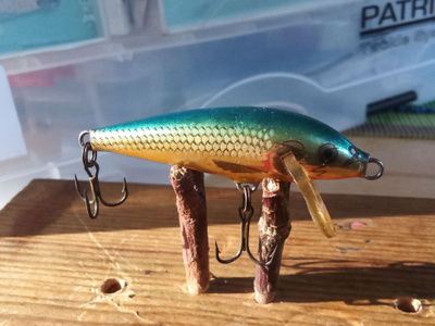 Rapala   Sinking 5cm Ireland