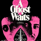 ghost waits (78 728) UUSI -GB- slipcase BLU-RAY 2020 arrow - pikkukuva 1
