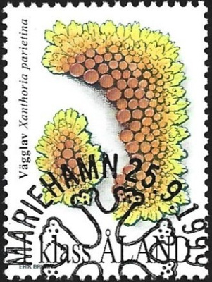Åland 1999 Jäkäliä 1. lk EP alareuna LOISTO LaPe 160