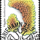 Åland 1999 Jäkäliä 1. lk EP alareuna LOISTO LaPe 160 - pikkukuva 1