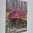 Tatit talteen - pikkukuva 1