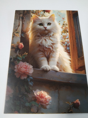 Kissa kortti, kulkematon, vaikka kehyksiin tauluksi.