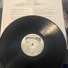 Grateful Dead: In the Dark LP - pikkukuva 4