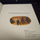 Vaihtoehtohoitona kuppaus  ( 2002 ) Sis. postikulun - pikkukuva 2