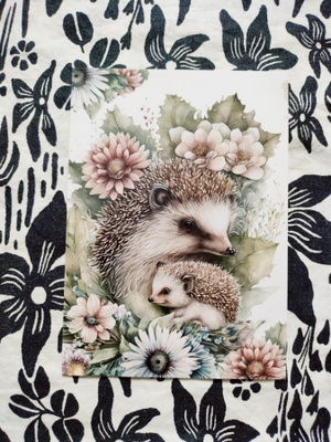 ~Siili kortti~
