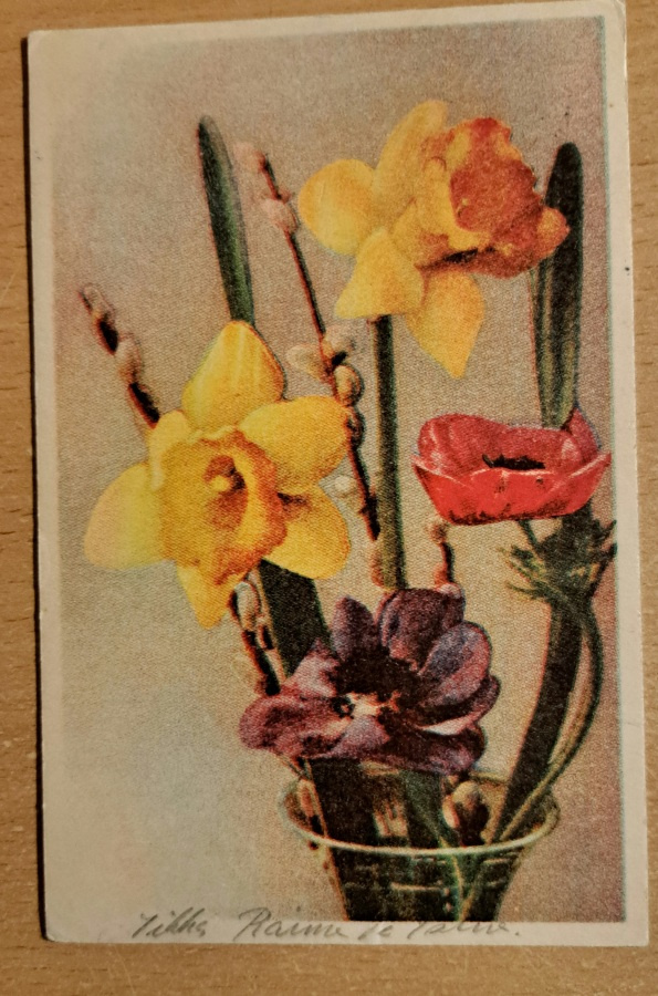 kukkakortti, narsissit,pääsiäiskortti kulkenut 1945