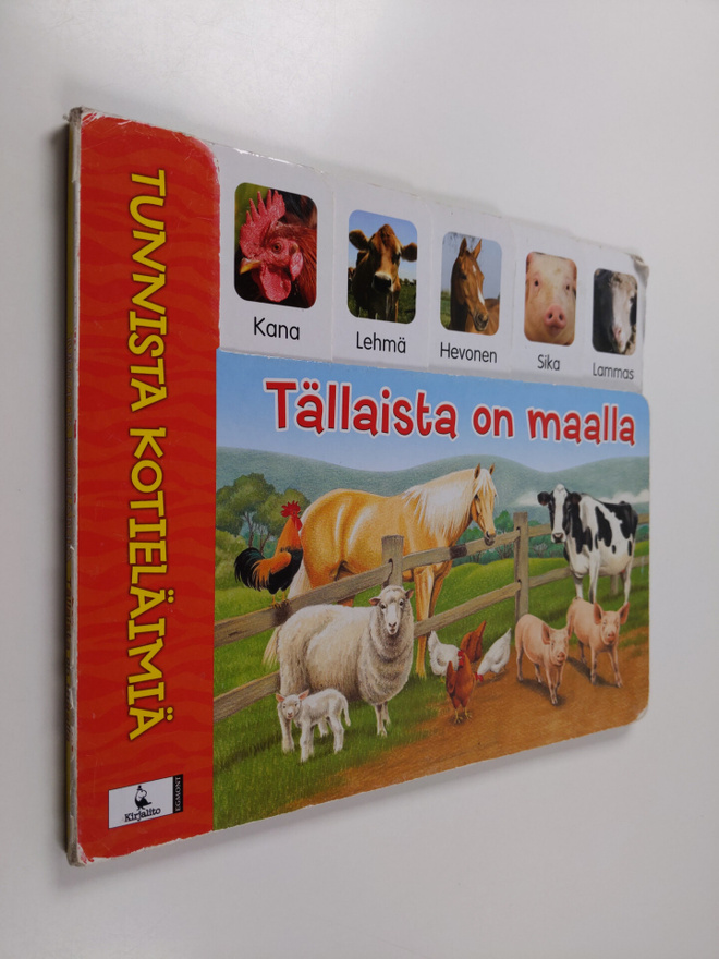 Liz Alger : Tällaista on maalla