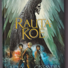 Holly Black: Rautakoe - pikkukuva 1