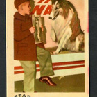 Keräilykuva - Lassie Star C Bilder 115 - pikkukuva 1
