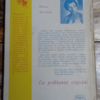 Mirva Arvinen - En polttanut siipiäni - pikkukuva 2