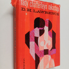 D. H. Lawrence : Lady Chatterleyn rakastaja - pikkukuva 1