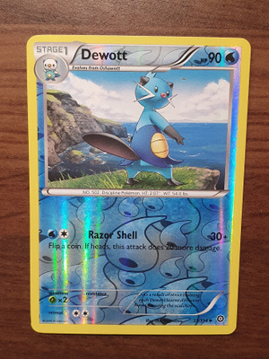 Pokemon Dewott 31/114 Reverse holo