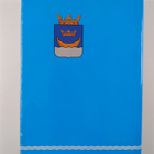 Helsingin kaupunginvaltuuston historia, Toinen osa - 1919... - pikkukuva 2
