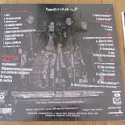 Aivoproteesi Pommisuoja lp 2022 uusi + fanzine punk - pikkukuva 2