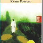 Karin Fossum, Mustat sekunnit - pikkukuva 1