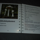 Sienestäjän opas - pikkukuva 4