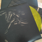 Crippled Black Phoenix – Ellengæst 2LP (Transparent Yellow) - pikkukuva 3