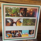 tom rapp (pearls before  swine) lp: sunforest 1973 usa - pikkukuva 2