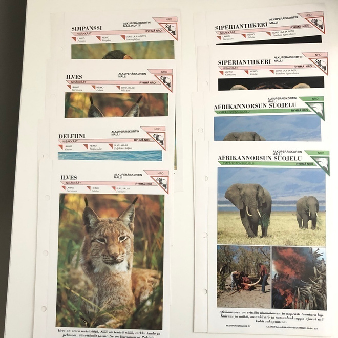 Kiehtova maailmamme eläinkortteja ( 8kpl )