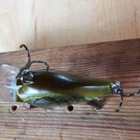 Rapala BXB-3 5cm MSY - pikkukuva 4