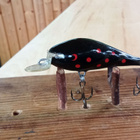 Wäylä 5,5cm Jalokalalle - pikkukuva 2