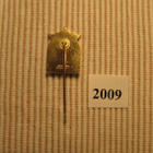 Vasaloppet rintamerkki 85:s hiihto 2009 - pikkukuva 2
