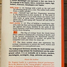 THE UNDERGROUND DICTIONARY, Eugene E. Landy, Ph.D. - pikkukuva 2