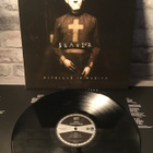 SLAYER: Diabolus In Musica - pikkukuva 2