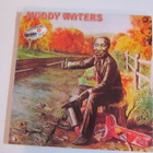 Muddy Waters 2LP FRA 1980 Muddy Waters - pikkukuva 1