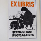 Vuokko Koistinen : Saahan aurinko olla (signeerattu, teki... - pikkukuva 4