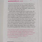 Estelle Maskame : DIMILY - Rakastan : Did I Mention I Lov... - pikkukuva 2
