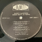 SLEEPY SLEEPERS - Sings Matti Ja Teppo - pikkukuva 2
