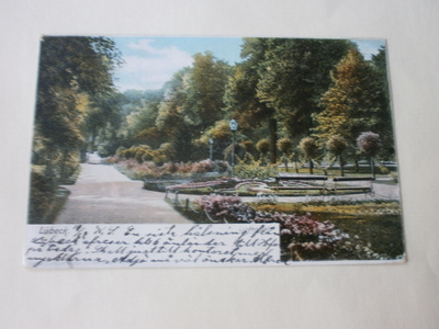 Lübeck, Lindenplatz, puiston istutuksia, p. 1903 -> Suomeen