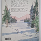 Barbara Firth ym. : Mennään kotiin, pikku karhu - pikkukuva 2