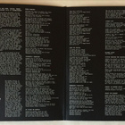  Jim Pembroke  Hot thumbs O'Riley - Wicked Ivory  LP - pikkukuva 3