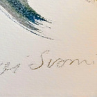 Päivi Suomi - pikkukuva 5