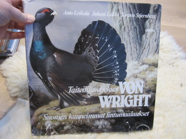 Leikola, Lokki, Stjernberg / Taiteilijaveljekset Von Wright