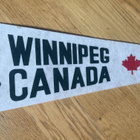SOUTH EAST GOLDEN BOWS WINNIPEG CANADA JOUKKUEVIIRI - pikkukuva 3