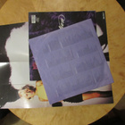 Transvision Vamp: Velveteen (LP 1989) - mukana jättijuliste - pikkukuva 5
