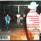 LYNYRD SKYNYRD Gimme Back My Bullets CD +2 Bonus-biisiä - pikkukuva 2