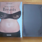 The Big Book of Breasts KIRJA - pikkukuva 3