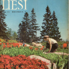 Kotiliesi n:o 11 1962 Odotan kesävauvaa. Käsilaukku. Opi Rak - pikkukuva 1