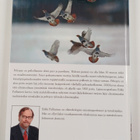 Erkki Pulliainen : Peltopyy - pikkukuva 2