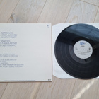 Tomi Ervi mini-LP Yksinäisyys - pikkukuva 2