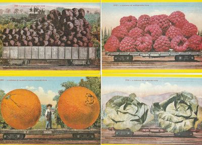 4 eril. Fruits Fantastiques- korttia
