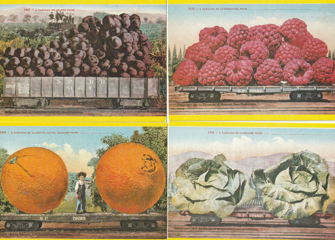 4 eril. Fruits Fantastiques- korttia